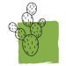 disegno cactus