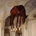 Cavallo imbalsamato appeso in stanza Castello di Rivoli