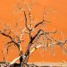 Albero secco su fondo arancione - Disastri e meraviglie