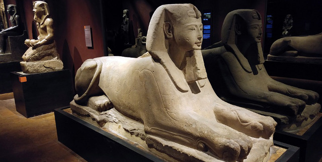 Sfinge Museo Egizio - Notte Europea dei Musei