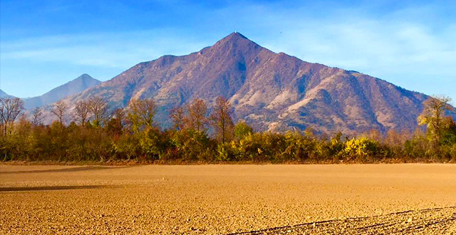 Il Monte Musinè visto da un campo