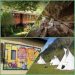 Collage immagini Treno dei Bimbi, Balma Boves, Marentino, Tatanka Village - luoghi insoliti