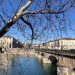 Vista di un ponte sul Po a Torino con albero spoglio in primo piano