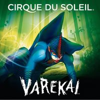 Il nuovo spettacolo del Cirque du Soleil è a Torino da