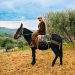 Uomo a cavallo di un mulo in campagna - Woodvivors