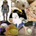 Collage immagini disegno donna giapponese, tè macha e armatura samurai